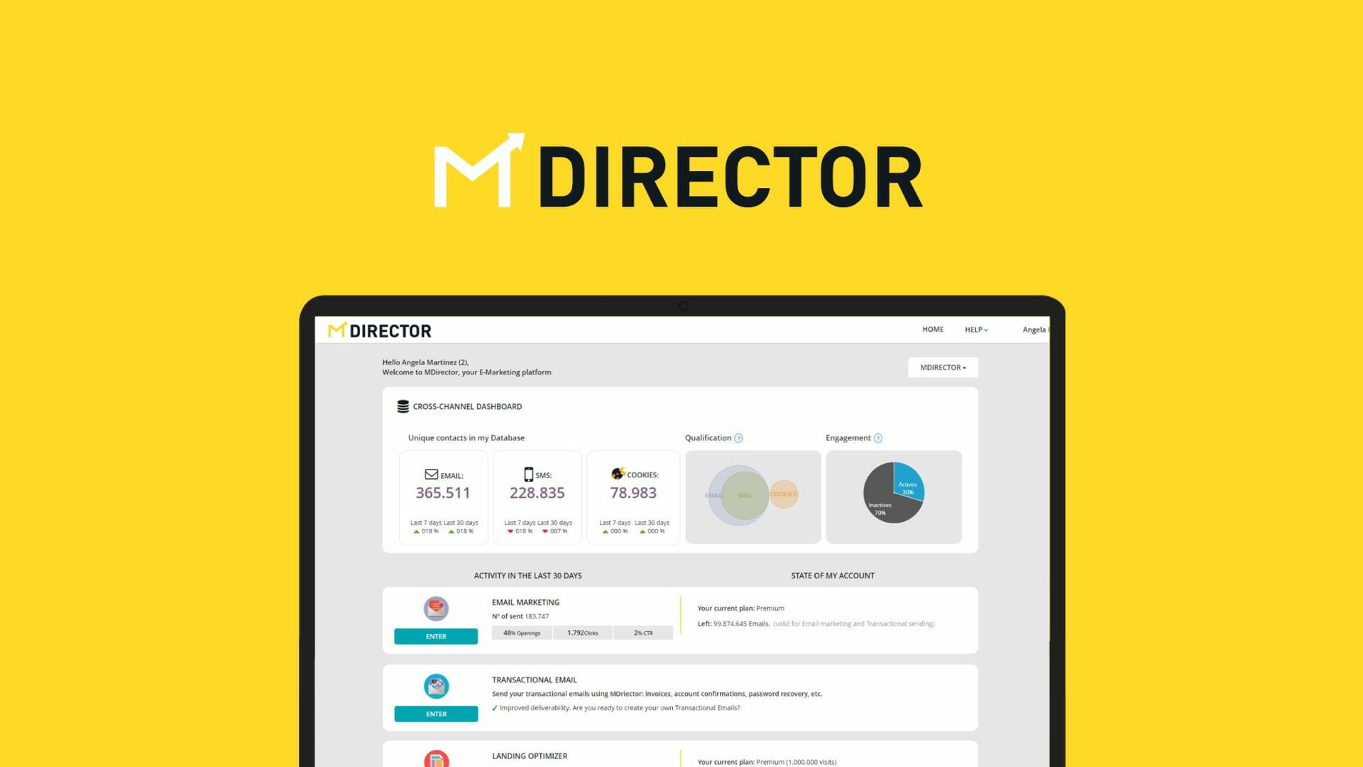 MDirector lifetime deal